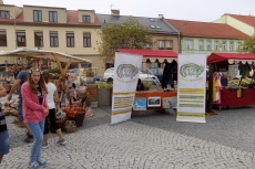 DSCN24271.jpg