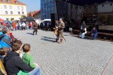 DSCN5409.jpg