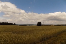 DSCN6478.jpg