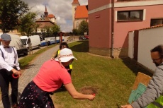 DSCN6531.jpg