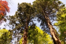 DSCN8115.jpg
