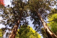 DSCN8116.jpg