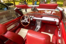 DSCN8136.jpg