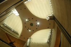P1100236.jpg